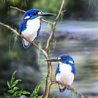 River Calling