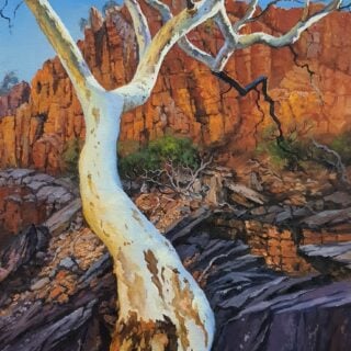 Silver and Gold (Standley Chasm)