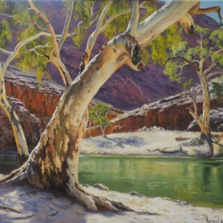 The Sentinel - Ormiston Gorge