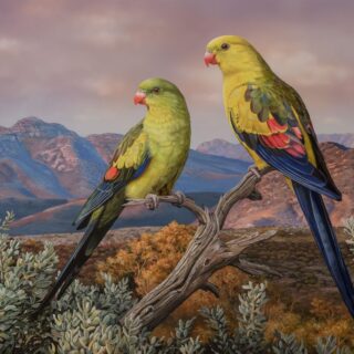 Regents of the Ranges - SOLD