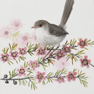 Petals and Plumage (Superb Fairywren Female)