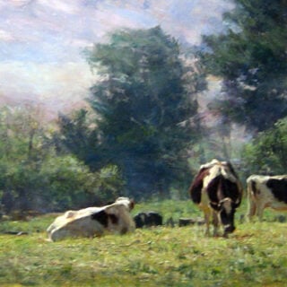 Spring Morning at Crompton's Farm