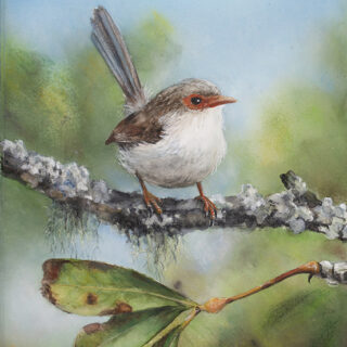 Spring's Gentle Whisper (Variegated Fairywren female)